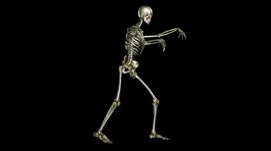 İskelet dansı. Siyah arkaplanda kusursuz döngü animasyonu, Wave Hip Hop, Hayalet karakter, Danseden Kafatası, luma matte ile şeffaf video, 3D canlandırma
