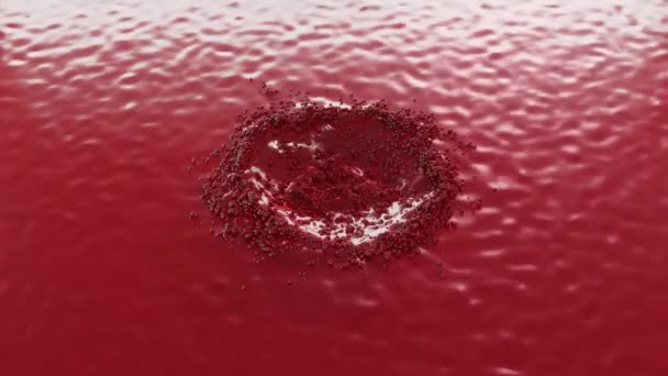 Salpicos Sangue Com Queda Lenta Movimento Cai Sangue Círculos Divergentes — Vídeo de Stock