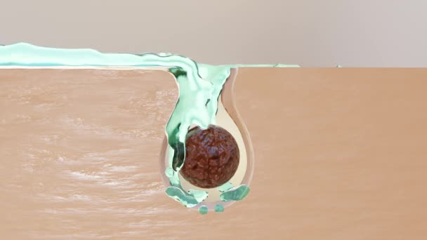 Huidlaag Waterreiniging Reinigingsschuim Crème Huidlaag Lotion Melk Water Huid Vuilverwijderaar — Stockvideo