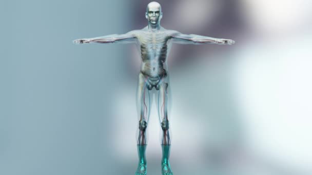 Body Water Balance Water Human Body Human Body Water Render — Stock Video
