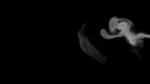 Дымовой Поток Черном Фоне Студии Отделен Использоваться Непрерывно Дымовые Облака — стоковое видео