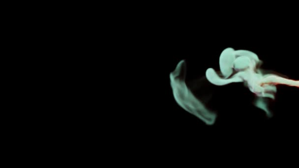 Красочный Дымовой Поток Черном Фоне Студии Отделен Использоваться Непрерывно Дымовые — стоковое видео
