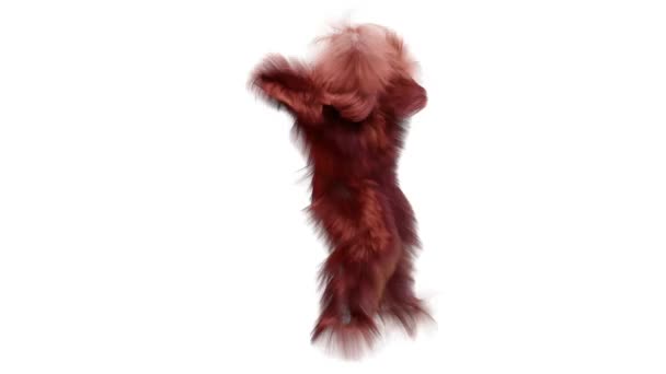 Peludo Monster Dancing Clip Aislado Animación Bucle Baile Casa Piel — Vídeos de Stock