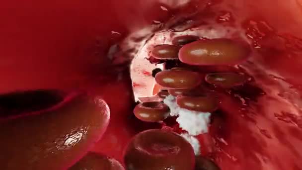 赤血球は横動脈から見ると動脈内を流れます 健康な血流だ 科学医学の概念 体を守るために血液中の重要な要素の転送 3Dアニメーション — ストック動画