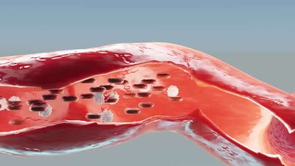 赤血球は横動脈から見ると動脈内を流れます 健康な血流だ 科学医学の概念 体を守るために血液中の重要な要素の転送 3Dアニメーション — ストック動画