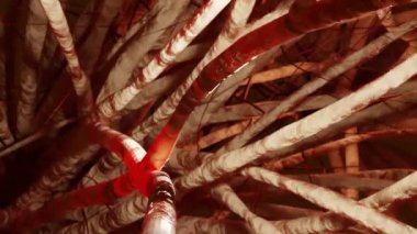 Osteoblaste ve Osteoclaste, tıbben doğru, kemik modelleme ve yeniden şekillendirme, kemik dokusu, kemik ve kıkırdaktan kalsiyum emen hücreler, 3D