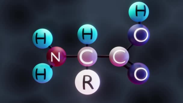 Wideo Cząsteczką Aminokwasu Renderowanie Struktura Molekularna Aminokwasów — Wideo stockowe