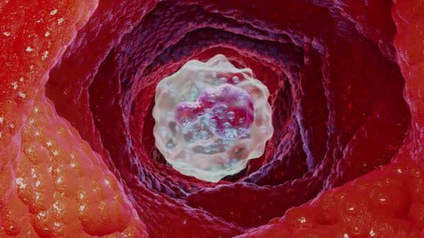 Canlandırılmış Basophil Tipi Lökosit Hücresi Beyaz Kan Hücreleri Görüntüleme — Stok video