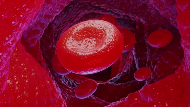 Animados Glóbulos Vermelhos Render — Vídeo de Stock
