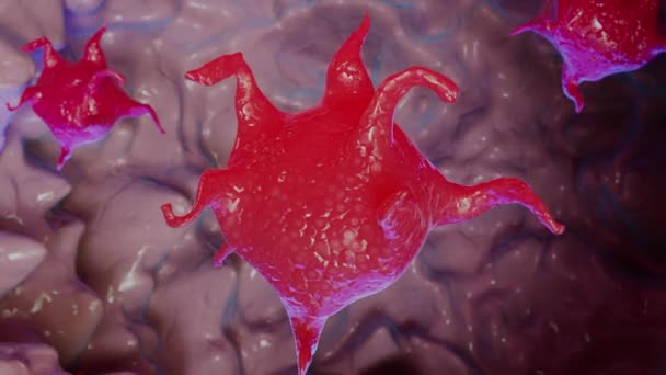 Анімовані Тромбоцити Кров Яна Клітина Візуалізація — стокове відео