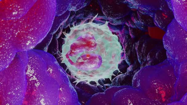 Animasyon Eozinofil Tipi Lökosit Hücresi Beyaz Kan Hücreleri Canlandırma — Stok video