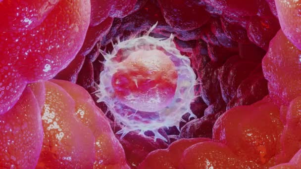 Animated Lymphocyte Type Leukocyte Cell White Blood Cells Render — Vídeo de stock