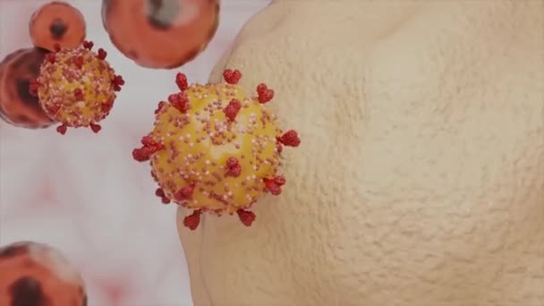 Coronavirus Atacando Células Organismo Humano Virus Corona Covid Causa Pandemia — Vídeo de stock