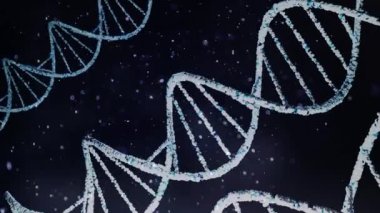 DNA ipliğini mikroskop altında döndürmek. Yüksek Detay. Gerçekçi 3D canlandırma