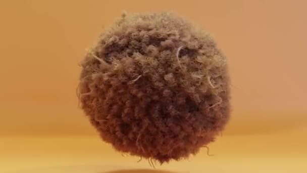 Loop Animation Fur Pompon Ball Hair Fluffy Ball Colorful Furry — Vídeo de Stock