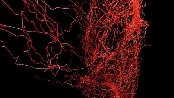 人間の動脈と静脈循環器系 静脈と動脈と心臓の医学的に正確なアニメーション 3Dレンダリング — ストック動画