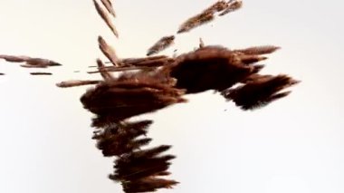 Toplu göç hareketi. Bir sürü kuş tüyü davranışı. Vücut simülasyonu akın ediyor. Sürü düzeni. 3d hazırlayıcı