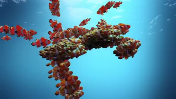 大規模な移民運動 ピエロの魚 魚の群れだ フロッキングボイドシミュレーション スワームフォーメーション ラウママット クラウンフィッシュアニメーション サンゴ礁で泳いで 3Dレンダリング — ストック動画