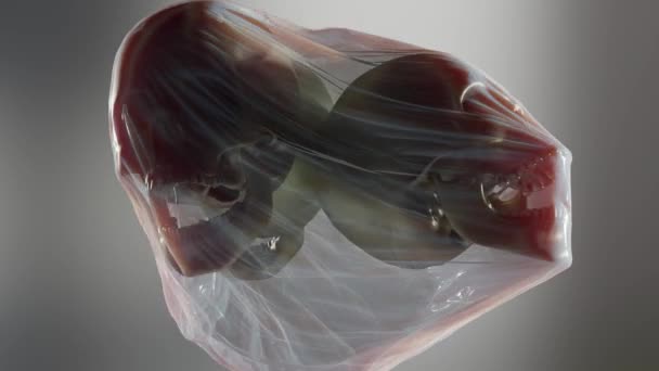 布に閉じ込められた頭蓋骨の奇妙に満足するアニメーション 現実的な3Dレンダリング — ストック動画