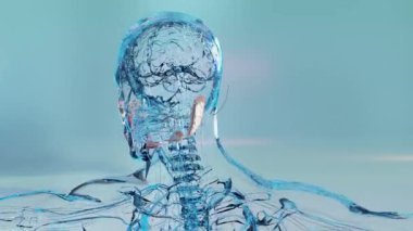 İnsan tükürük bezleri anatomisi, insan sindirim ağzı, dilaltı, alt çene altı ve parotid bezi, çene altı ve arkasındaki kanallardan tükürük üretimi,