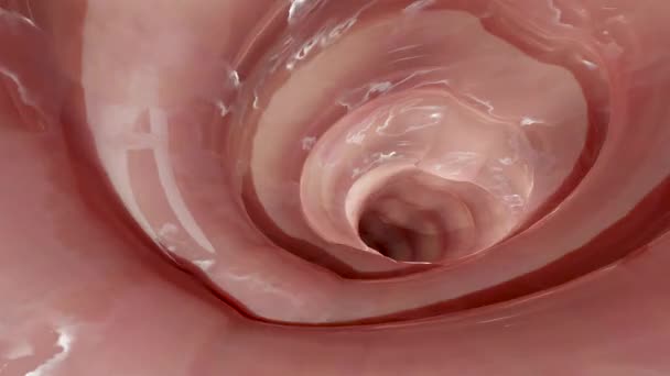 肠道或大肠直肠 大肠波动 肠道炎症候群 肠道疼痛 腹腔感染 结肠镜 3D渲染 — 图库视频影像
