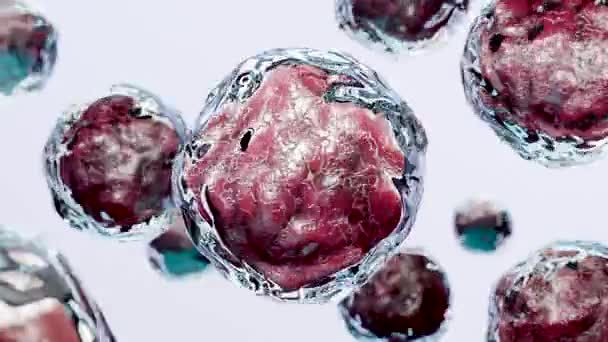 Cancer Cellules Virales Bactéries Microscopiques Infection Microbes Tumeur Métastase Cancéreuse — Video
