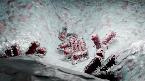 ウイルス増殖 細胞増殖 分子再生分裂とクローニングプロセス クローン細菌やウイルス その内容を複製し 2つの新しい細胞 3Dレンダリングに分割 — ストック動画