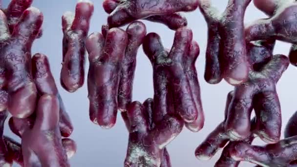 Cromosoma Humano Bajo Microscopio Secuencia Del Genoma Biología Molecular Moléculas — Vídeos de Stock