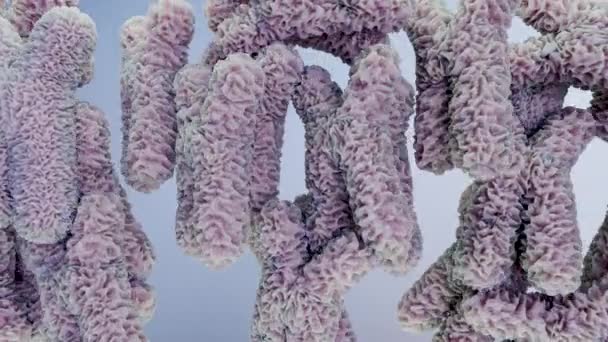 显微镜下的人类染色体基因组序列分子生物学 Dna分子 浮动染色体 遗传密码 遗传学概念 3D渲染 — 图库视频影像