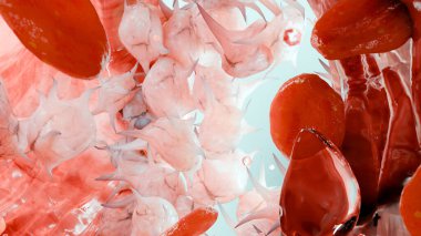 Hemostasis. Kan damarlarında kırmızı kan hücreleri ve trombositler, vazokonstrüksiyon, yaraların iyileşme süreci. Pıhtı embolisi, hemofili. Fibrinolysis, yaralanma, pıhtılaşma, 3 boyutlu görüntüleme. 