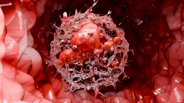 Neutrophiles Typ Leukozyten Zelle Phagozytose Weiße Blutkörperchen Der Vene Neutrophil — Stockvideo