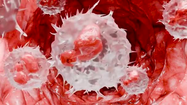 ニュートロフィルス タイプ ルクコバイト細胞 ホワイト血液細胞 ニュートロフィル 医学の人間の健康 ウイルスおよび微生物感染の破壊 粒状細胞 多リンパークラー 3Dレンダリング — ストック動画