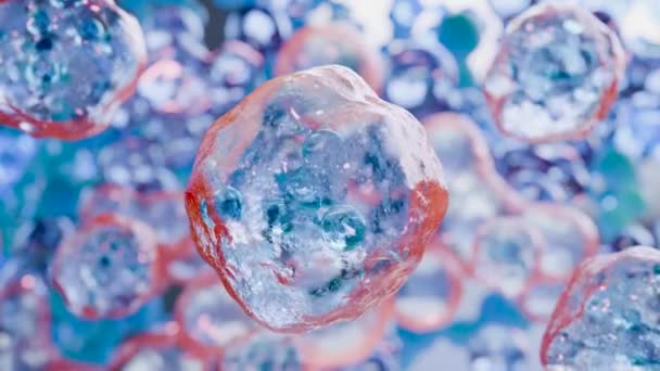 浮遊するヒト細胞のループアニメーション 胚性幹細胞 細胞療法および再生 病気の処置 Eosinophile 有機分子構造 癌およびウイルス 3Dレンダリング — ストック動画