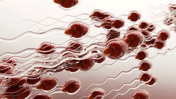 human Sperm Swim to Ovum Cell for natural fertilization and insemination, men's cum fertility, Male sperms cells approaching egg cell, medically accurate of pre-fertilization, spermatozoons, 3d render