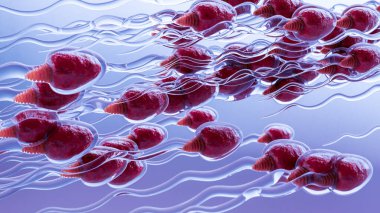 human Sperm Swim to Ovum Cell for natural fertilization and insemination, men's cum fertility, Male sperms cells approaching egg cell, medically accurate of pre-fertilization, spermatozoons, 3d render