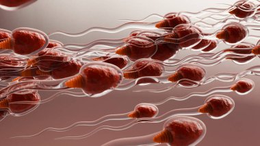 human Sperm Swim to Ovum Cell for natural fertilization and insemination, men's cum fertility, Male sperms cells approaching egg cell, medically accurate of pre-fertilization, spermatozoons, 3d render