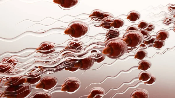 human Sperm Swim to Ovum Cell for natural fertilization and insemination, men's cum fertility, Male sperms cells approaching egg cell, medically accurate of pre-fertilization, spermatozoons, 3d render