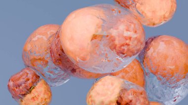 Yağ hücreleri, adipoksit ve lipoksit, hücrelerde kolesterol, 3D render.