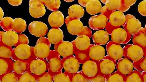 Fettceller Adipocyter Och Lipocyter Kolesterol Celler Vita Fettceller Lipiddroppar Fett — Stockvideo