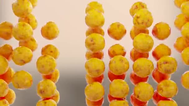 Жирові Клітини Адипоцит Ліпоцит Холестерин Клітинах Білі Жирові Клітини Містять — стокове відео