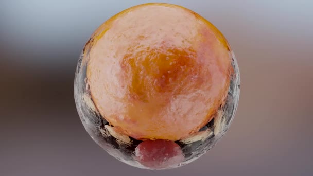 Yağ Hücresi Izole Edilmiş Beyaz Adipoksit Lipoksit Bir Hücrede Kolesterol — Stok video