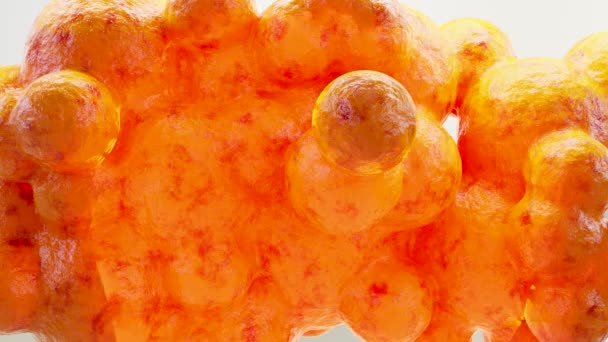 조직에 뚱뚱한 현미경의 점화하는 뚱뚱한 Lipocytes 현실적인 렌더링 — 비디오
