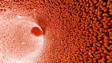 Bağırsak sisteminde probiyotikler. Bağırsak yoluyla endoskopi. Mikrobiyota, vitaminli hap kapsülü sindirim sistemi, mide ağrısı tedavisi, kırmızı mikro villi, 3D görüntüleme.