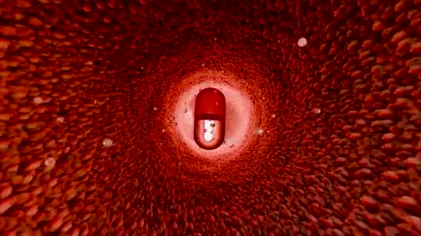 肠道内的益生菌 内窥镜检查肠子 微生物群 含有用于消化系统的维生素的胶囊 胃痛治疗 结肠镜检查 红色微绒毛 3D渲染 — 图库视频影像