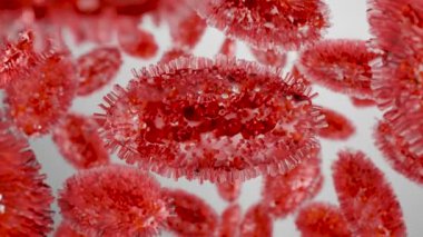 Maymun çiçeği salgını. Maymun hastalığı hücresi, semptomlar veya önlemler, çiçek hastalığı çeşidi, mutasyona uğramış ateş maymunu, insan sağlığı için virüs tehdidi,