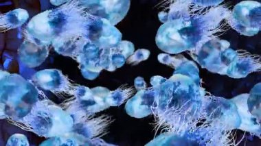 Flagellum, uzun kuyruklu zararlı bakteriler, prokaryot, virüs probiyotikleri ve patojen, H. pylori, mikrop flagella, bağışıklık sistemi, salmonella veya laktobacillus, 3d render