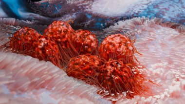 Flagellum, uzun kuyruklu zararlı bakteriler, prokaryot, virüs probiyotikleri ve patojen, H. pylori, mikrop flagella, bağışıklık sistemi, salmonella veya laktobacillus, 3d render