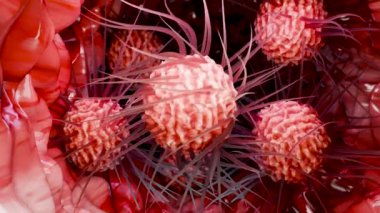 Flagellum, uzun kuyruklu zararlı bakteriler, prokaryot, virüs probiyotikleri ve patojen, H. pylori, mikrop flagella, bağışıklık sistemi, salmonella veya laktobacillus, 3d render