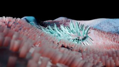 Flagellum, uzun kuyruklu zararlı bakteriler, prokaryot, virüs probiyotikleri ve patojen, H. pylori, mikrop flagella, bağışıklık sistemi, salmonella veya laktobacillus, 3d render