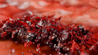 Doku, tümör enfeksiyonu hücreleri ve yayılan, iltihaplı metastaz kanserli kanser hücreleri üzerinde kontrol edilemeyen kanser hücresi büyümesi. Çoğaltılarak çoğaltılıyor, hücreler genişliyor, Melanoma Kanseri, 3 boyutlu canlandırma